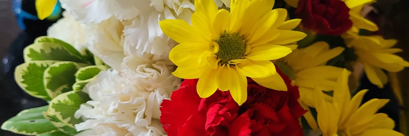 OnlyFans cuenta lunafleur07 header 2