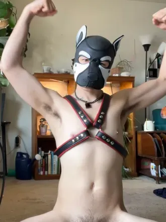 OnlyFans cuenta officiallypuppy avatar 1