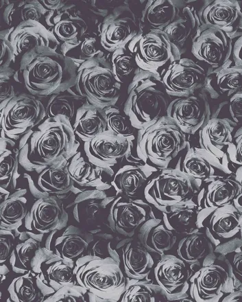 OnlyFans account  vlunavalentine header 2