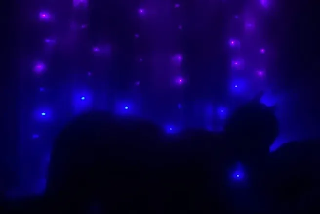 OnlyFans cuenta lilchilena header 2