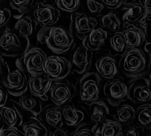OnlyFans cuenta emmbuggz header 2