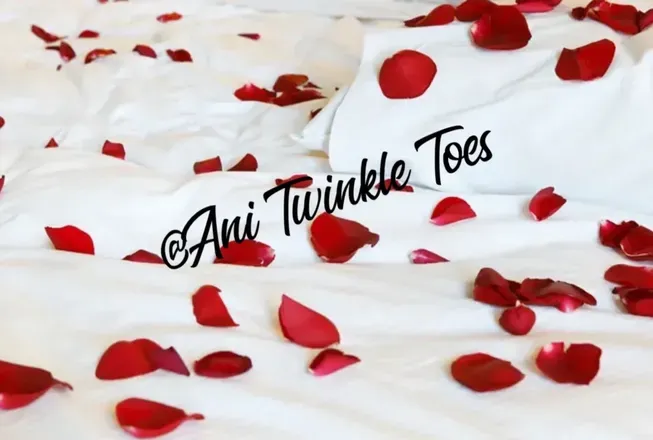 OnlyFans cuenta anitwinkletoes header 2