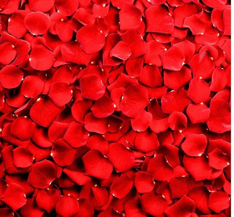 OnlyFans cuenta honeyleydi header 2