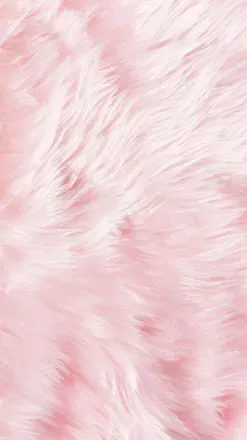 OnlyFans cuenta dollxprts header 2