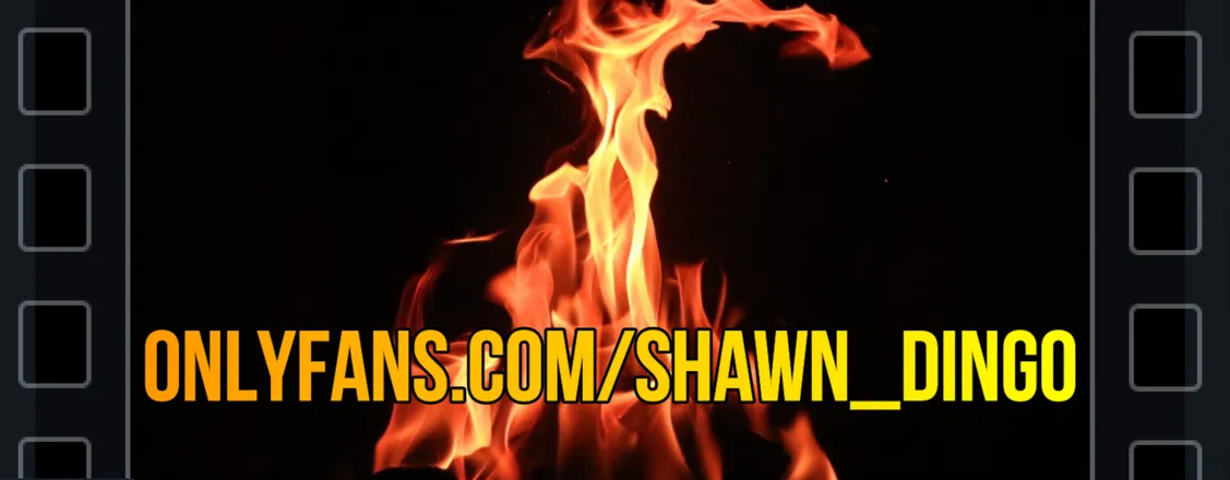 OnlyFans cuenta shawn_dingo header 2
