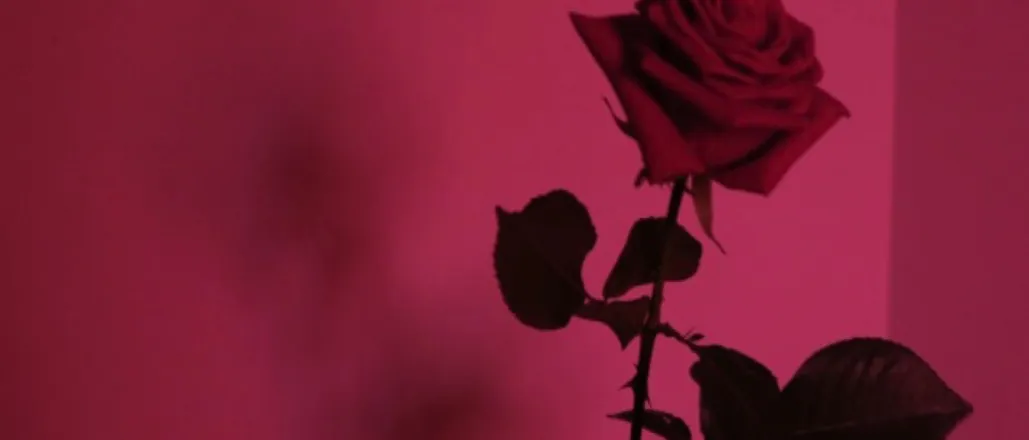 OnlyFans cuenta theloveshack header 2