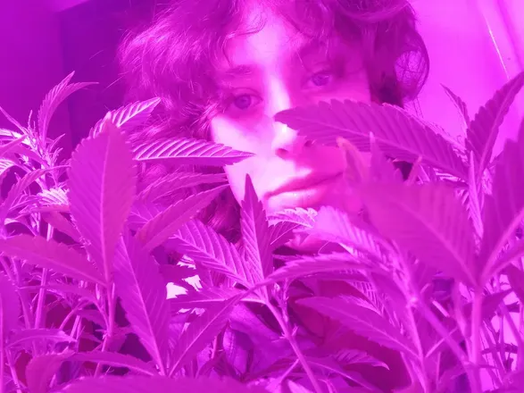 OnlyFans cuenta danaeweed avatar 1
