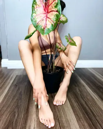 OnlyFans cuenta myfeet_yourtreat avatar 1
