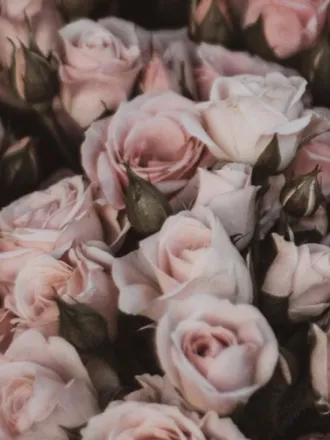 OnlyFans account  southerncruela header 2