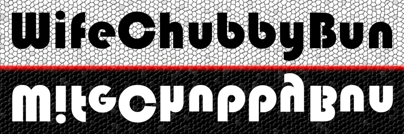 OnlyFans cuenta wifechubbybun header 2