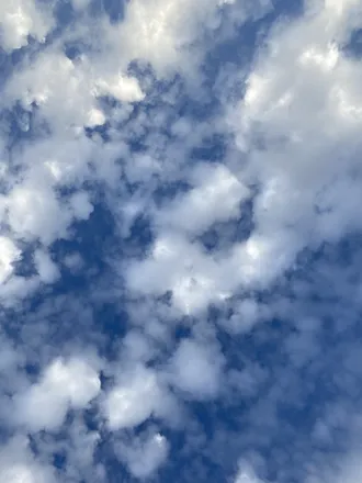 OnlyFans account  ctrlfreaq header 2