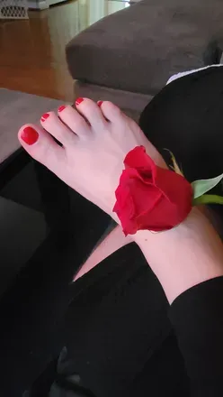 OnlyFans cuenta lovlytoesxo avatar 1