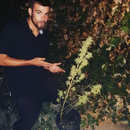 OnlyFans cuenta tmoney420litty header 2