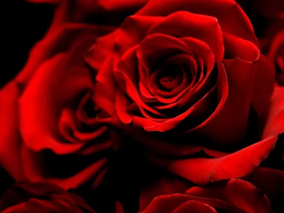 OnlyFans cuenta sarah21roses header 2