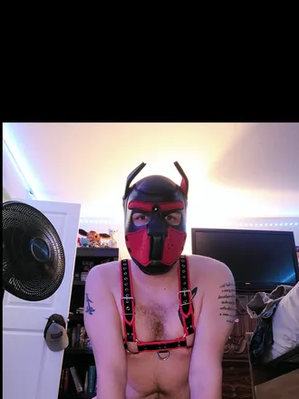 OnlyFans cuenta pup_merlin header 2