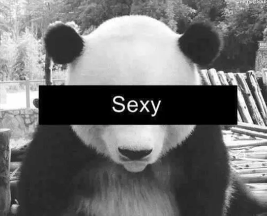 OnlyFans cuenta gordopanda header 2