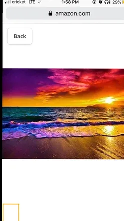 OnlyFans cuenta leilaniphatkat37 header 2