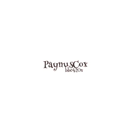 OnlyFans cuenta bbc420x header 2
