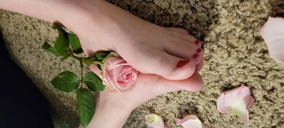 OnlyFans cuenta cassie28 header 2