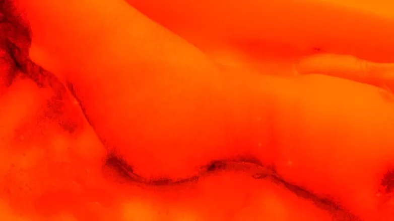 OnlyFans cuenta ang3licincubus header 2