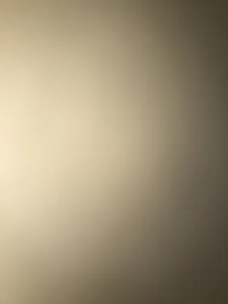 OnlyFans cuenta theestallionnnn header 2