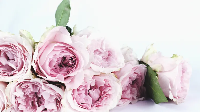 OnlyFans cuenta bettyblush header 2