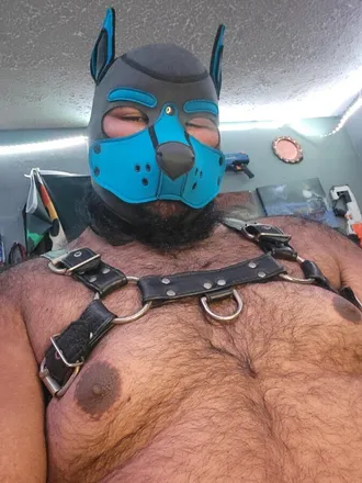 OnlyFans cuenta mikeydagrizzly header 2