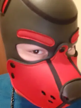 OnlyFans cuenta bacchy_puppy avatar 1