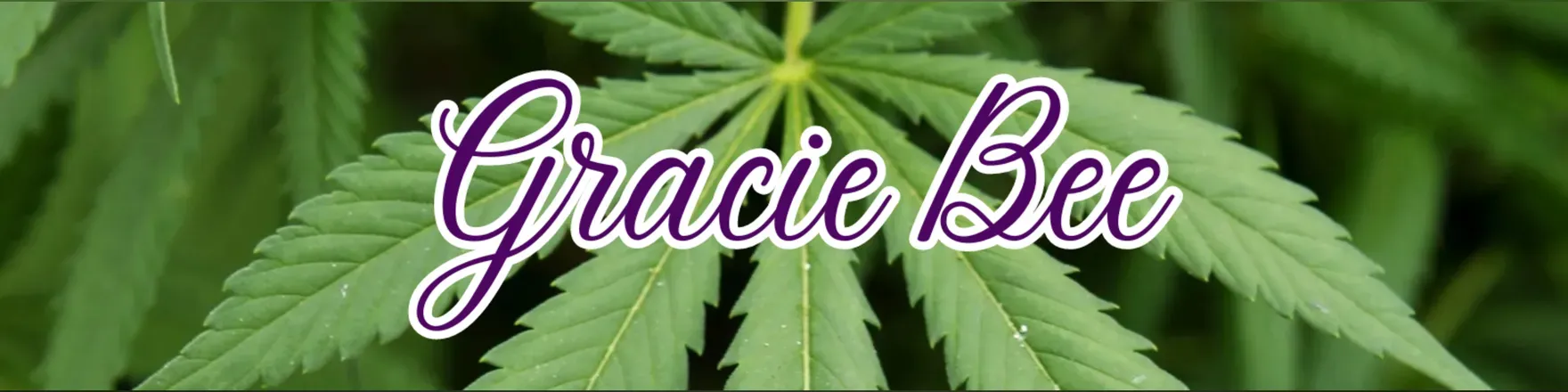 OnlyFans cuenta gracebee420 header 2