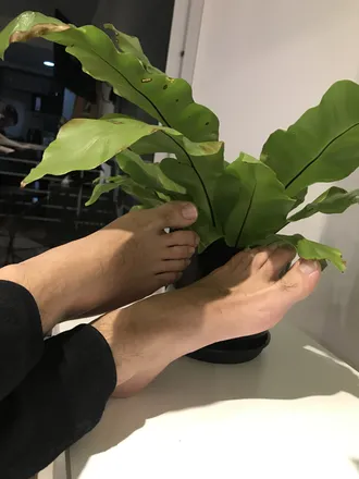 OnlyFans cuenta hornyfeet69 header 2