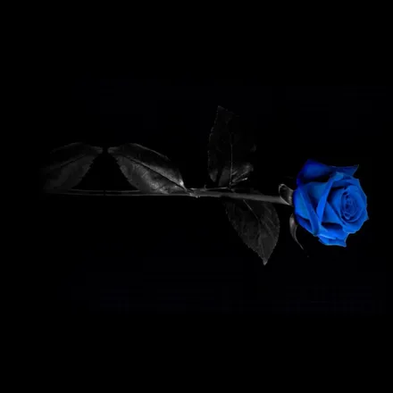 OnlyFans cuenta blue-avatar header 2