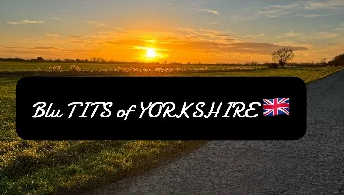 OnlyFans cuenta blutitsofyorkshire header 2