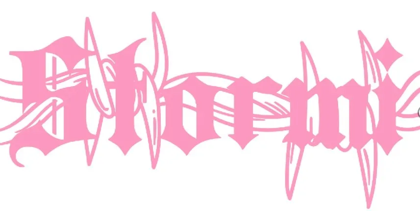OnlyFans cuenta stormi.nyx header 2