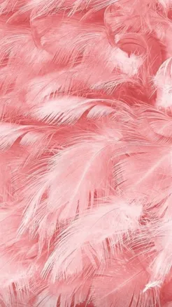 OnlyFans cuenta delavidagalante header 2