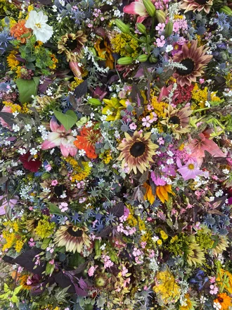 OnlyFans cuenta thenakedflorist header 2