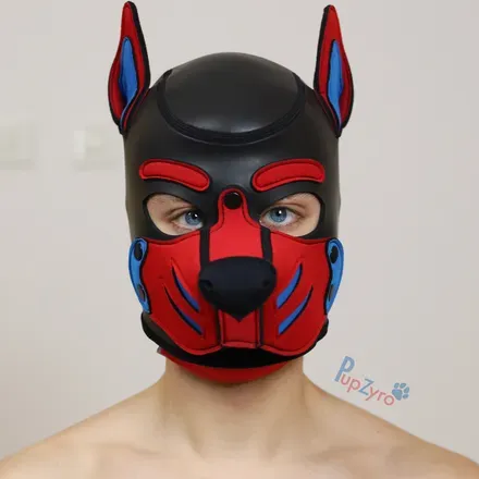 OnlyFans cuenta pupzyro avatar 1