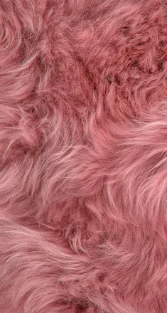 OnlyFans cuenta babymayareal header 2