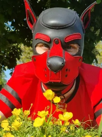 OnlyFans of spidey-pup