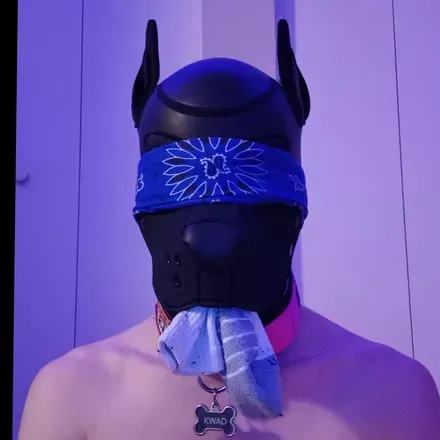 OnlyFans cuenta pupkwad avatar 1