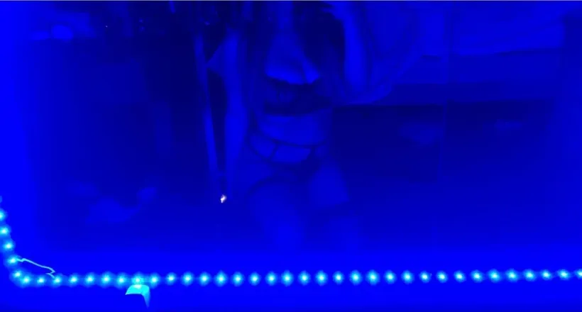 OnlyFans cuenta her000 header 2