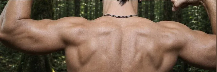 OnlyFans cuenta adamscar header 2