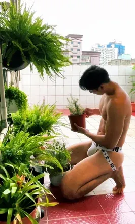 OnlyFans cuenta lifeguard1069 avatar 1