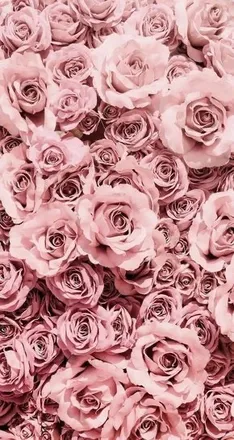 OnlyFans cuenta piink777 header 2