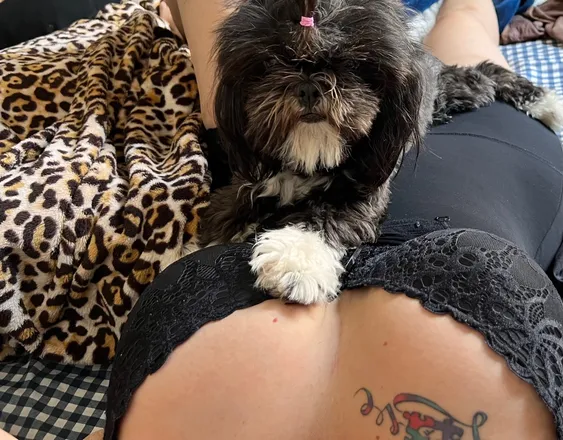 OnlyFans cuenta u241373281 header 2