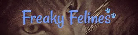 OnlyFans cuenta 876sugar header 2