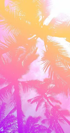 OnlyFans account  californiachick header 2