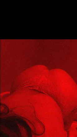 OnlyFans cuenta u49780016 header 2