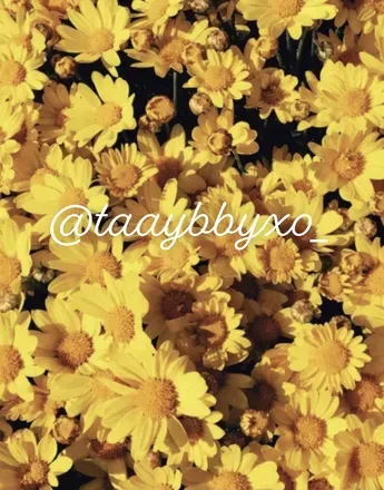 OnlyFans cuenta taaybbyxo_ header 2