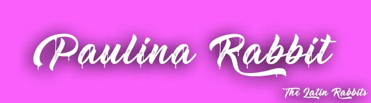 OnlyFans cuenta paulina_rabbit header 2