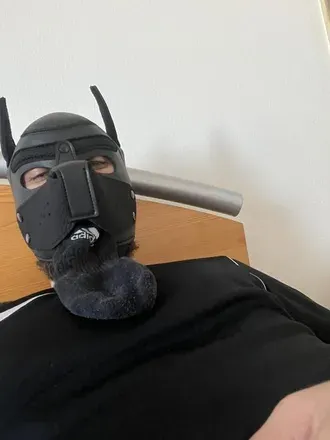 OnlyFans cuenta maskeddoggy avatar 1